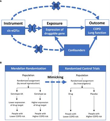 Mendelian randomization analysis identifies druggable genes and drugs repurposing for chronic obstructive pulmonary disease